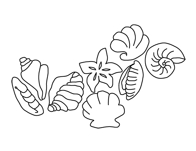 coral clipart coloring page
