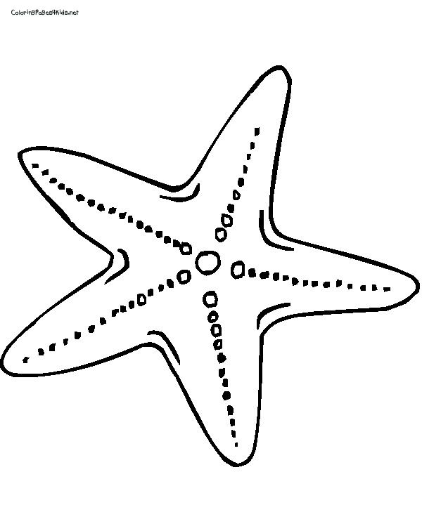 Star fish colouring pages. Starfish clipart simple cartoon