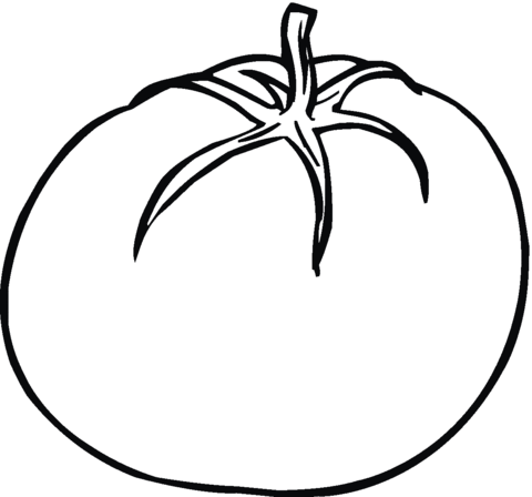 tomatoes clipart coloring page
