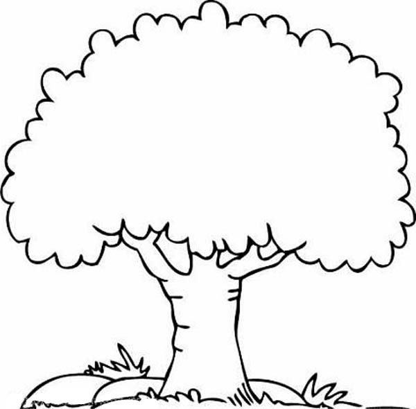 coloring clipart tree