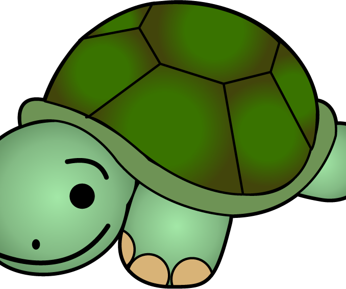 coloring clipart turtle
