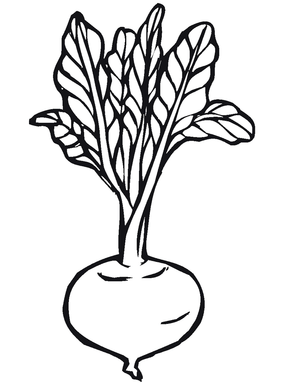 coloring clipart vegetable