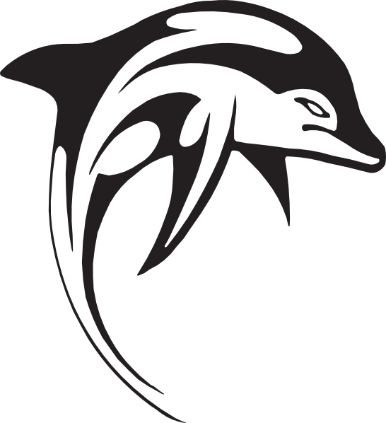 miami dolphins 3d logo transparent