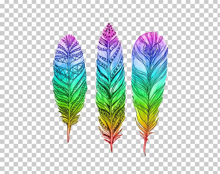 feathers clipart colored