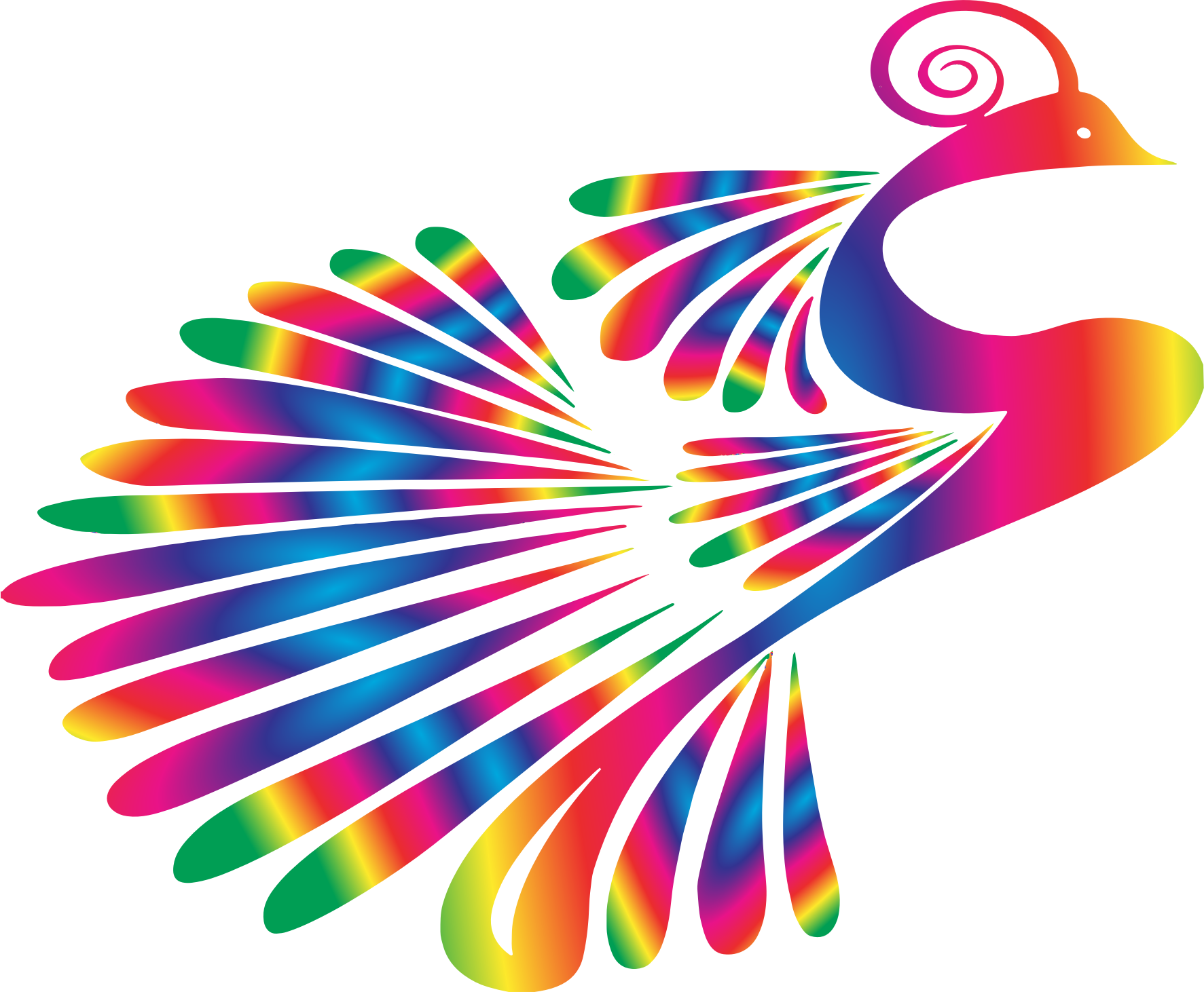 colors clipart peacock