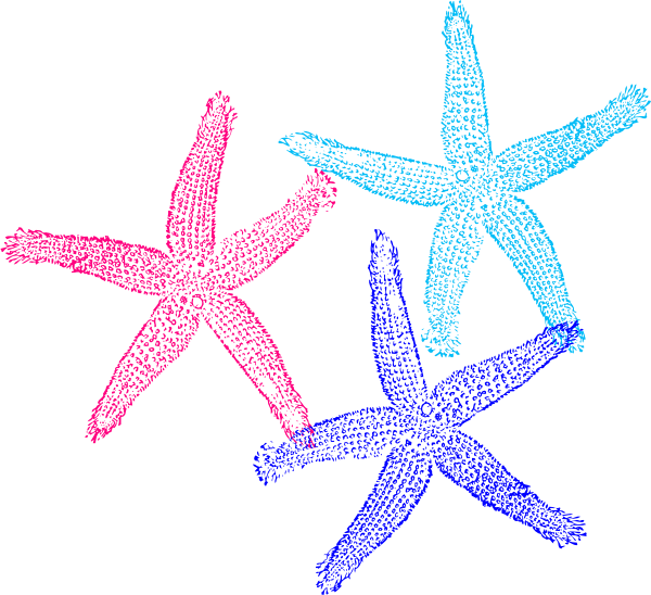 Triple colors clip art. Starfish clipart aqua