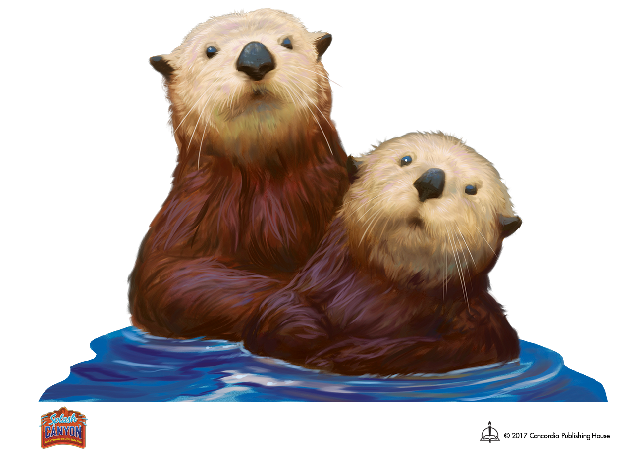 Otter clipart color, Otter color Transparent FREE for download on