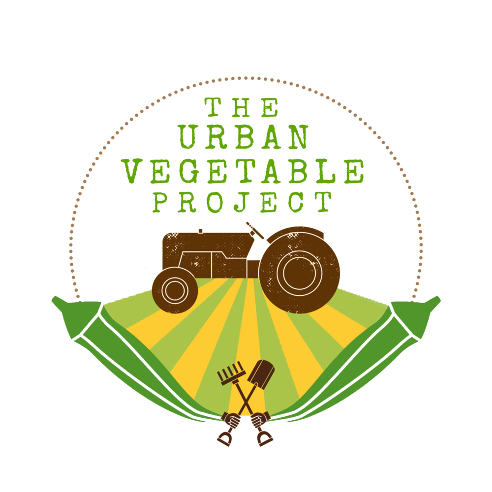 The urban vegetable project. Zucchini clipart zucchini bread