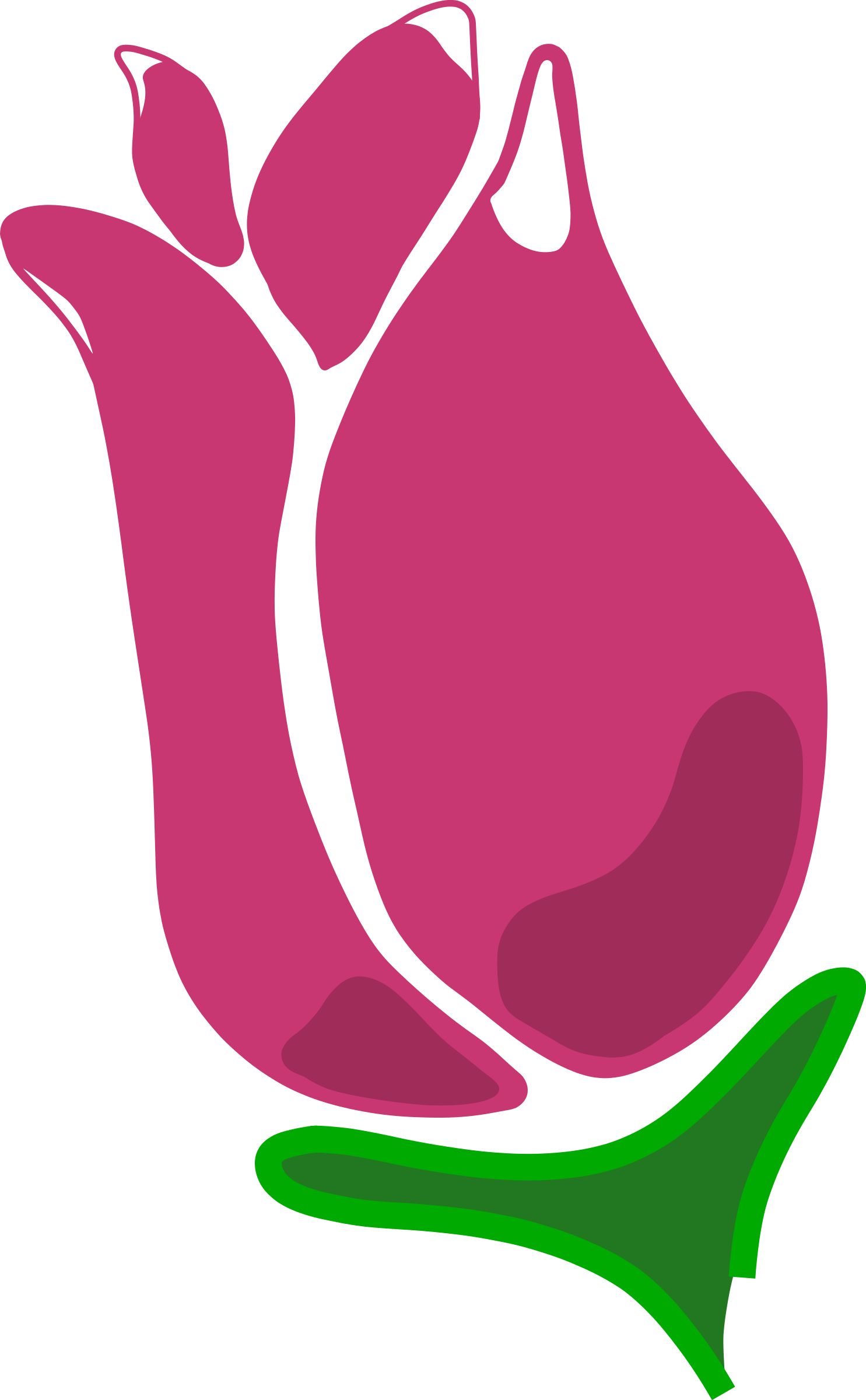 pear clipart rose