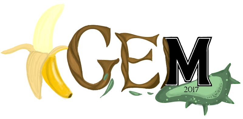 Team umaryland igem org. Conclusion clipart proposed solution