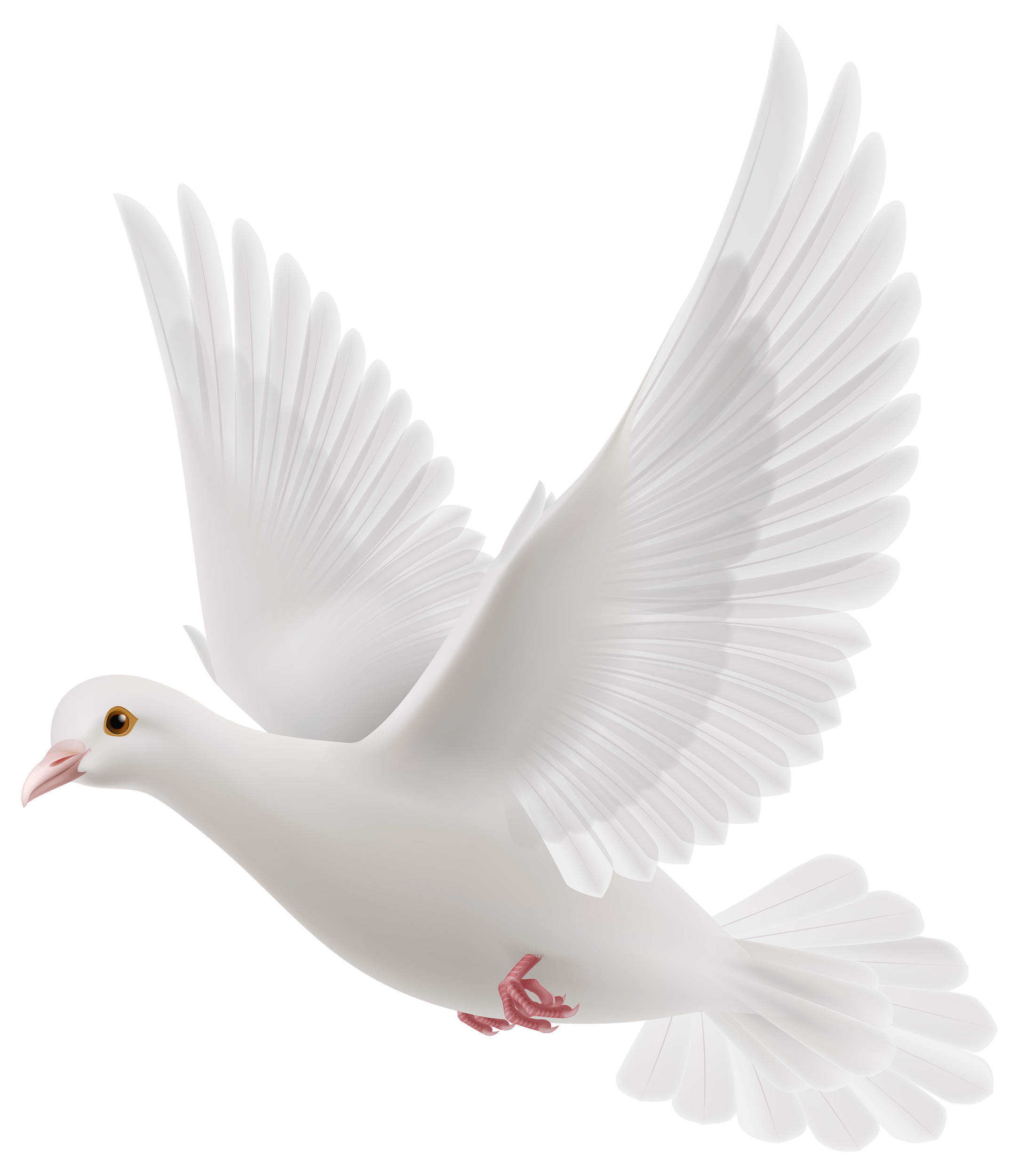 Pigeon clipart purity. Look i am sending