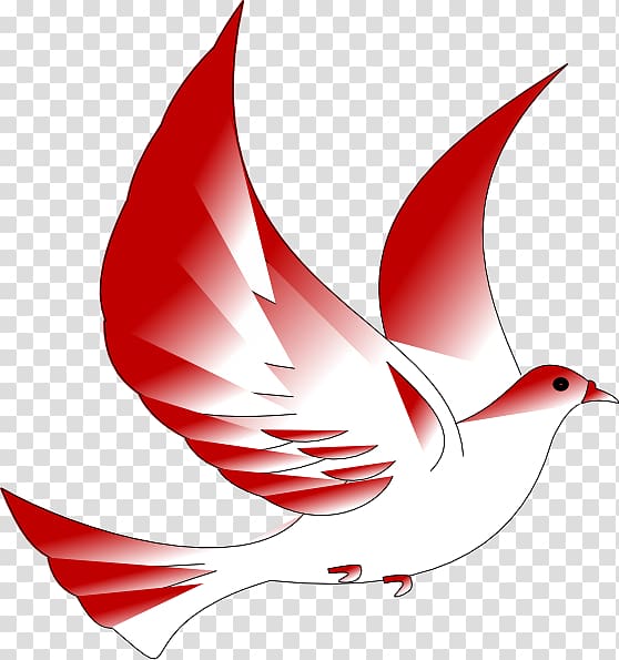 Red and white bird. Pigeon clipart catholic