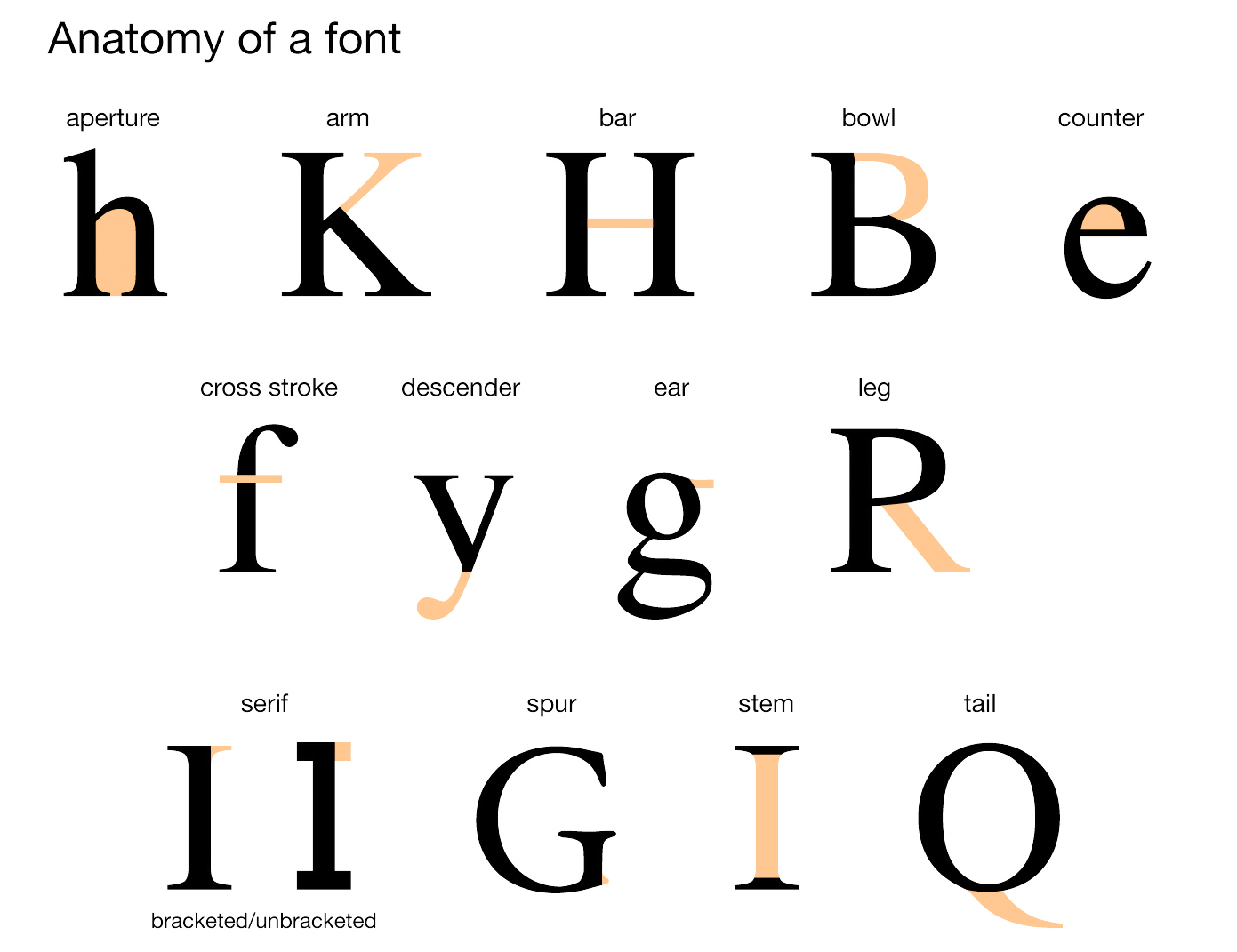 constitution clipart typography