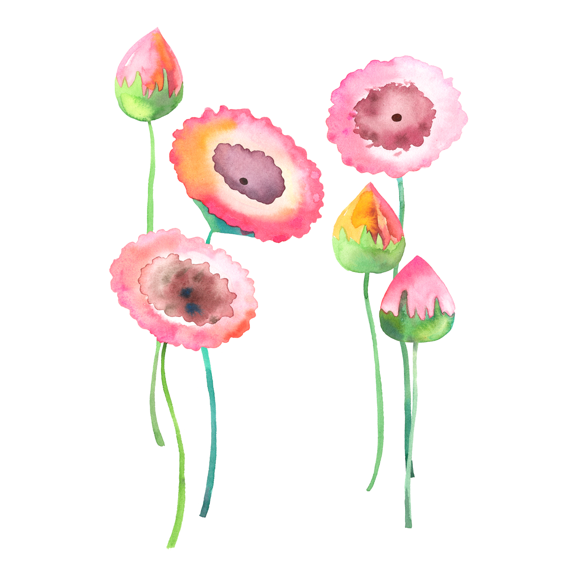 Lollipop clipart watercolor. Watercolour flowers painting background