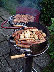 cookout clipart braai south african