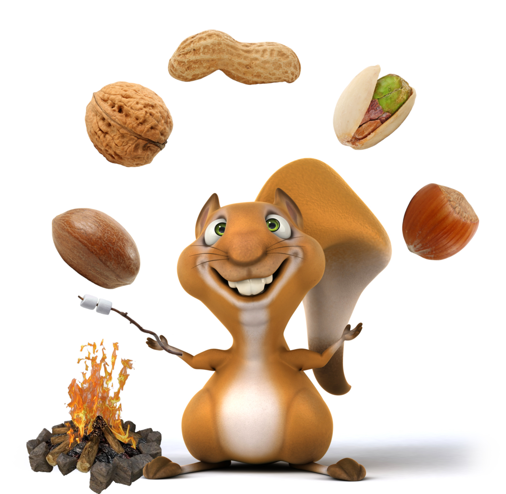 Nuts mixed nut