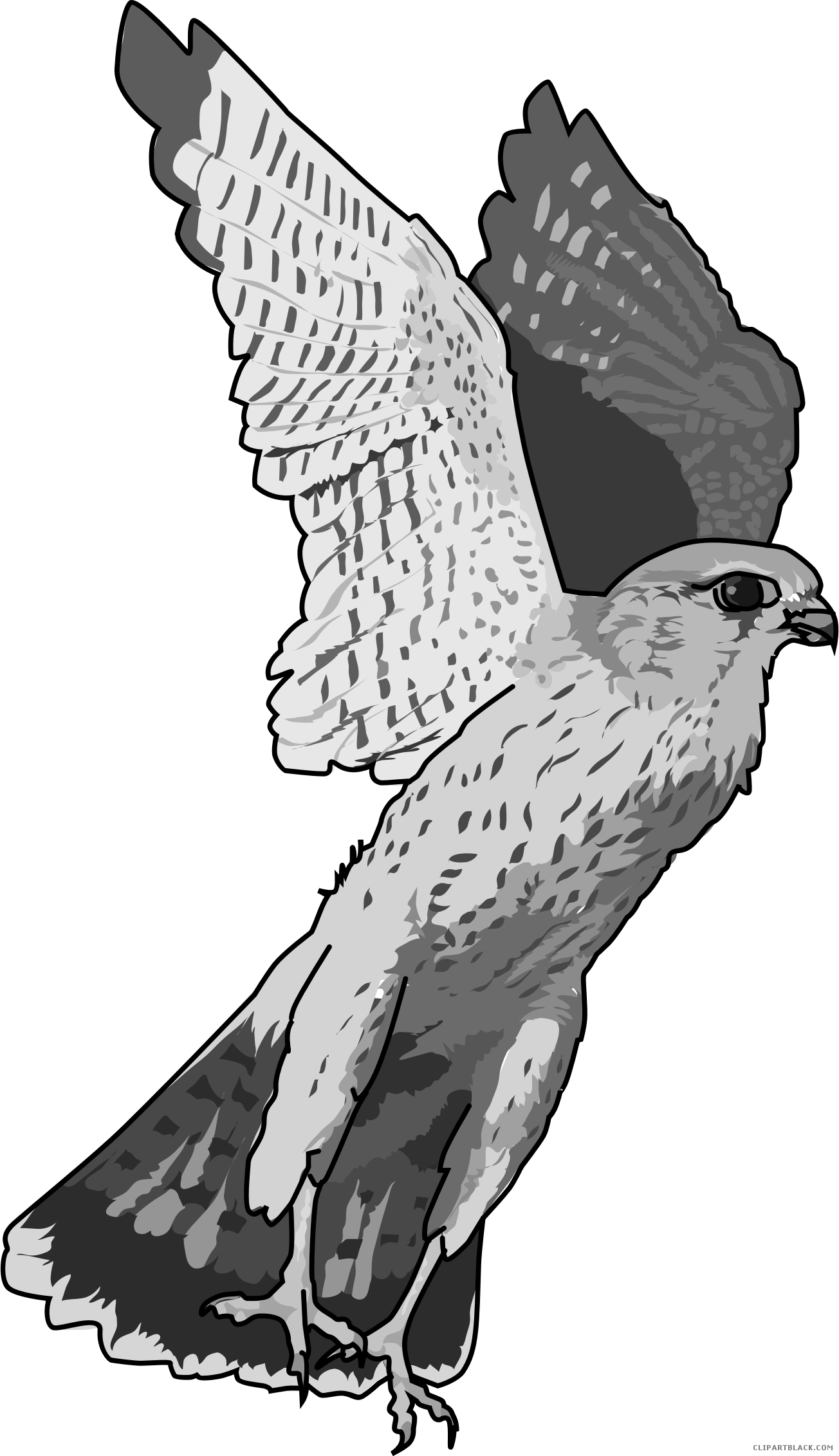 falcon clipart black and white