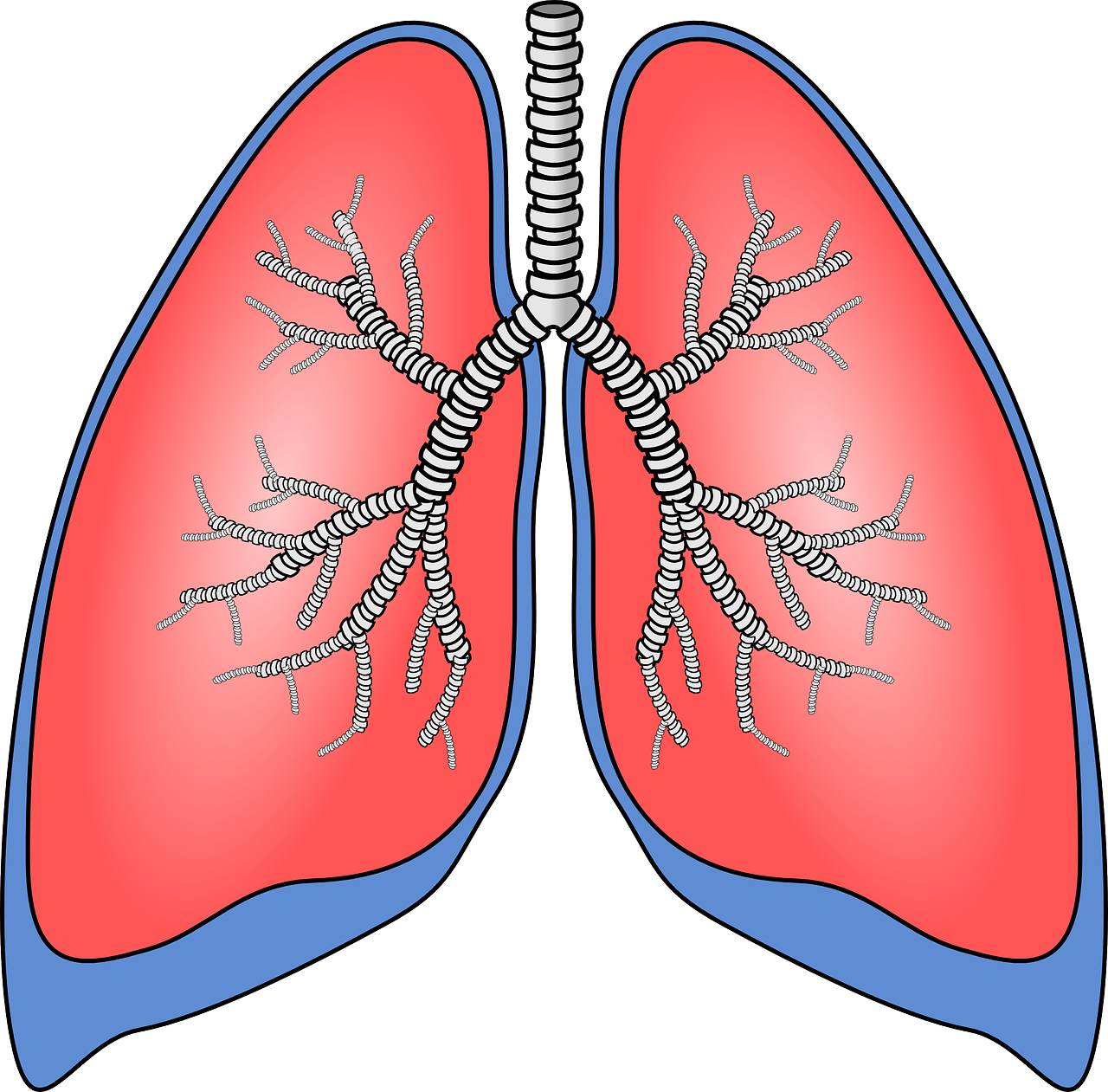 lungs clipart pneumonia