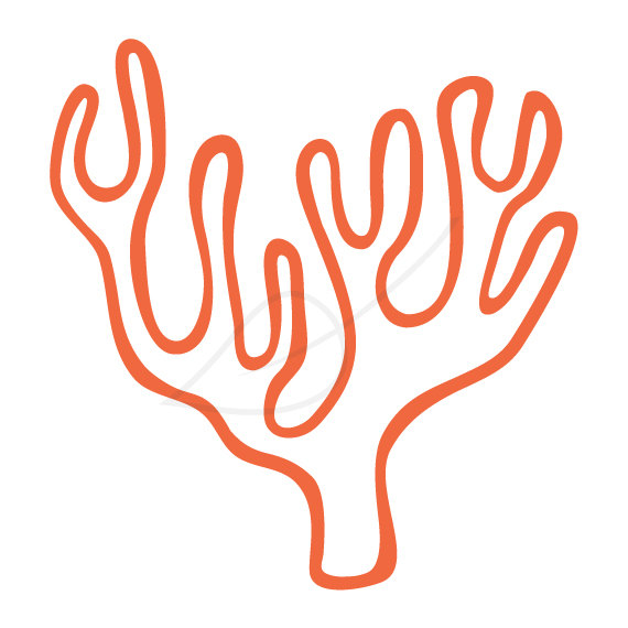coral clipart