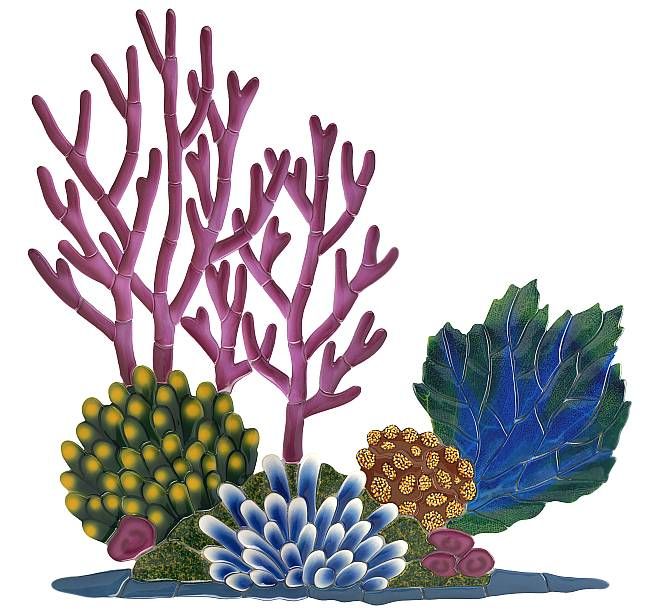 Coral clipart. This reef is perfect