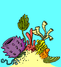 coral clipart animated
