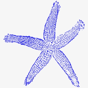 Coral clipart baby starfish. Free of cliparts silhouettes