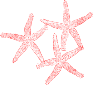 Coral clipart baby starfish. Clip art color 