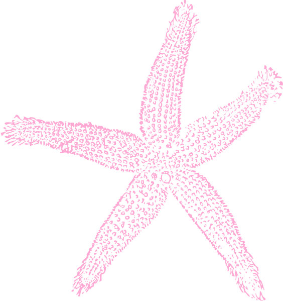 coral clipart banner