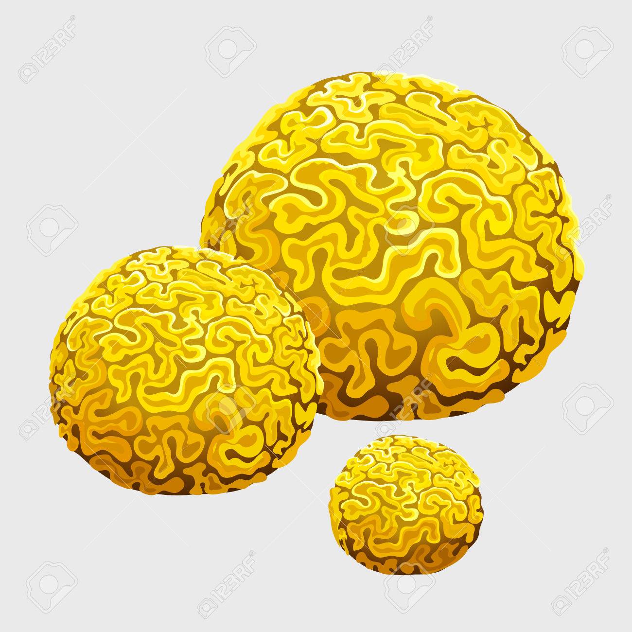 coral clipart brain coral