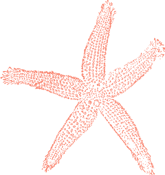 starfish clipart small starfish