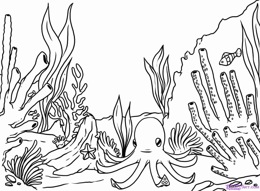 coral clipart coloring