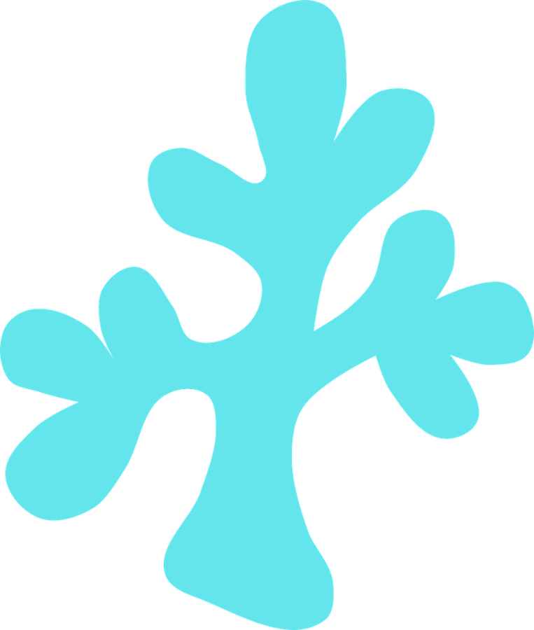 Coral clipart coral anchor. Pin by melody bray