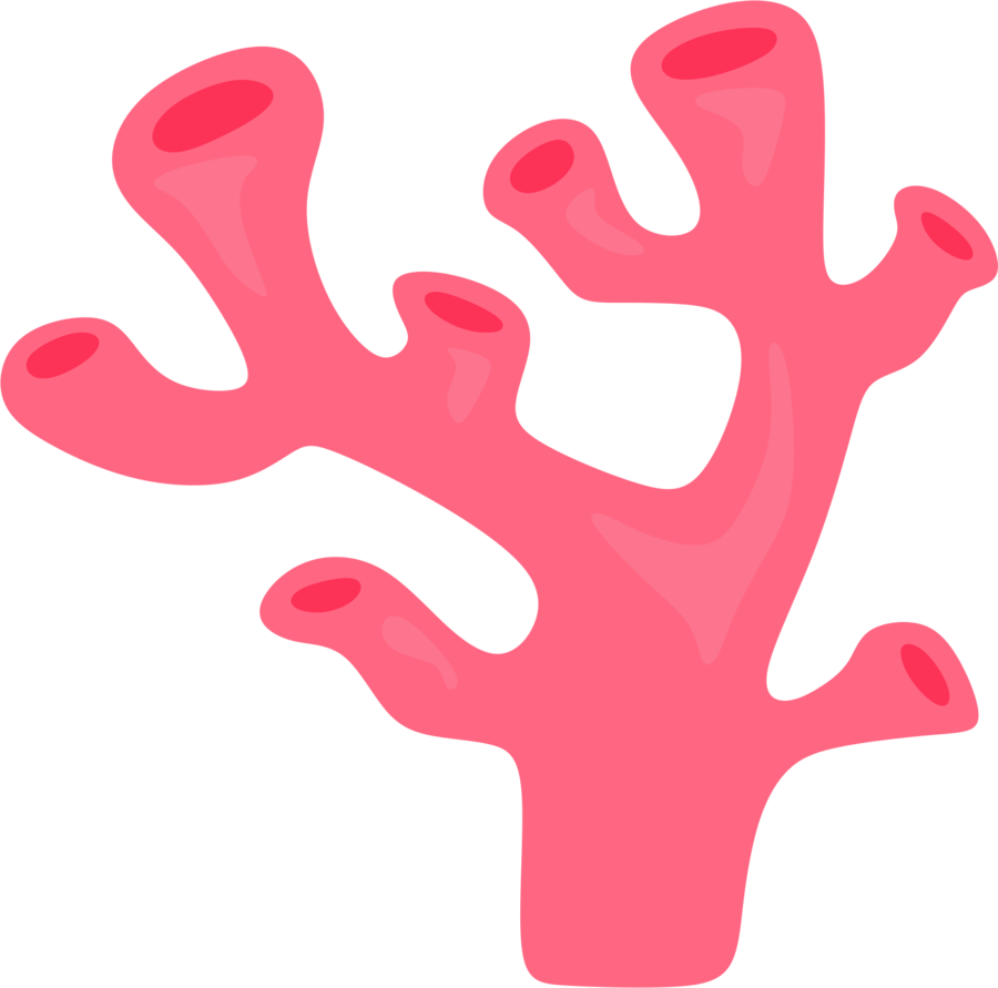 coral clipart coral anchor