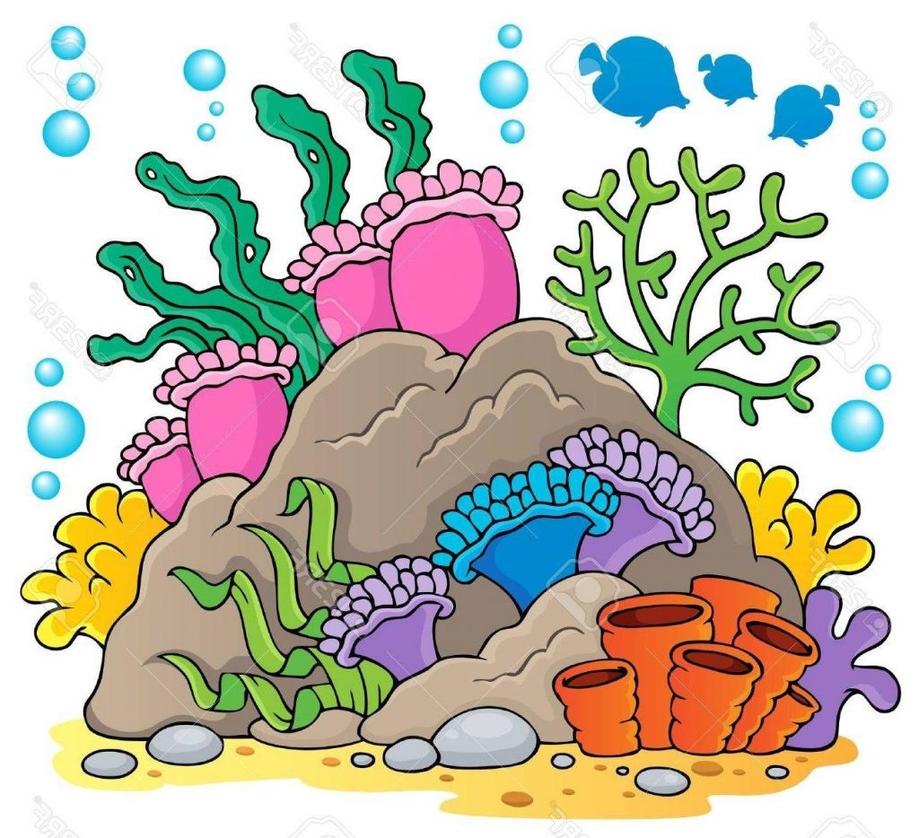 coral clipart coral reef