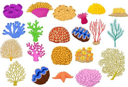 Free download clip art. Coral clipart different