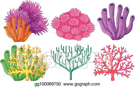 coral clipart different