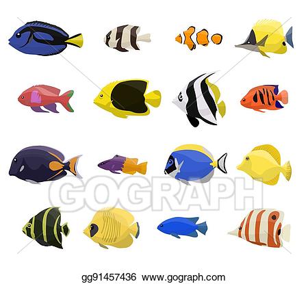 coral clipart fishe