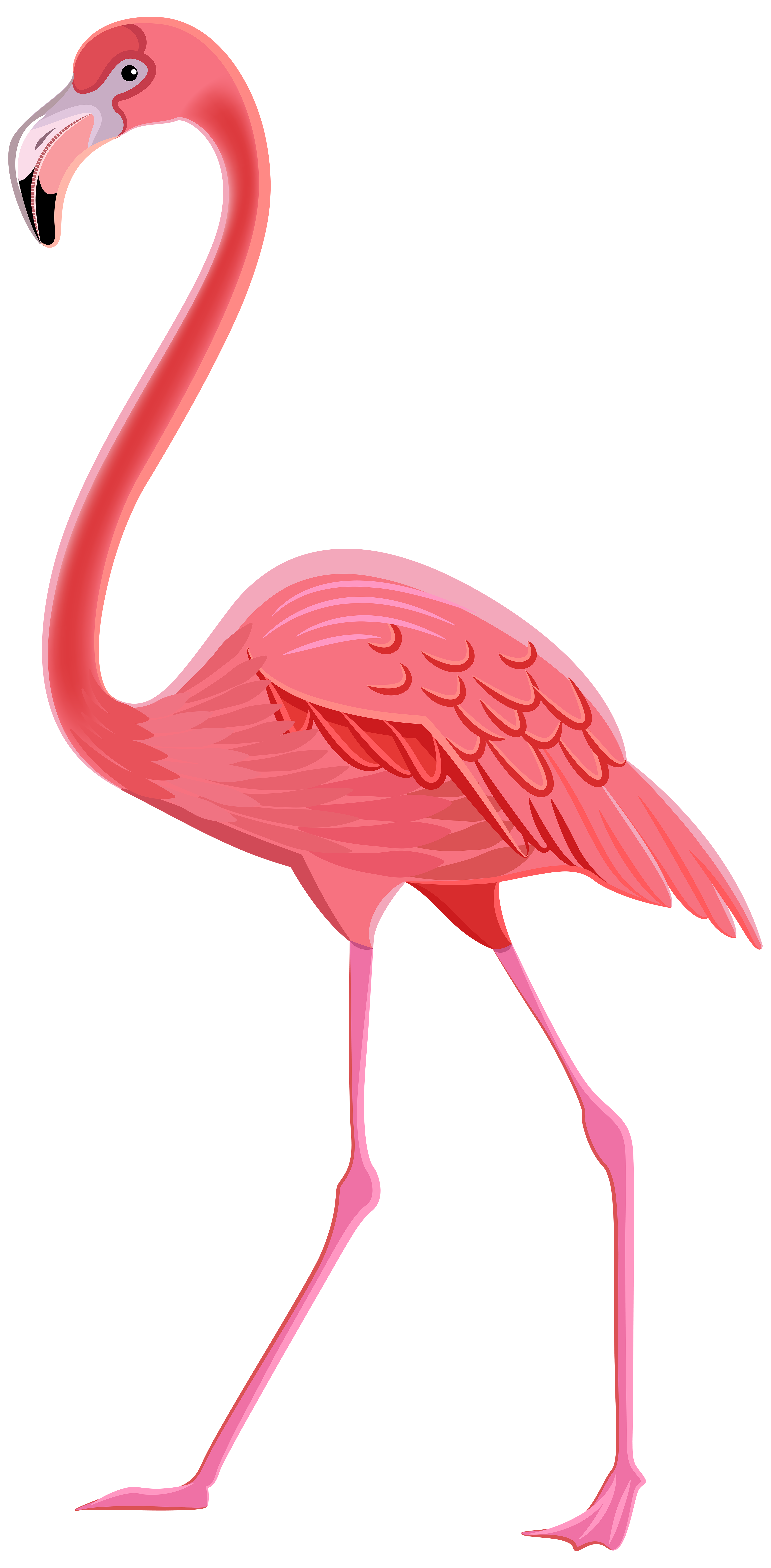 luau clipart flamingo