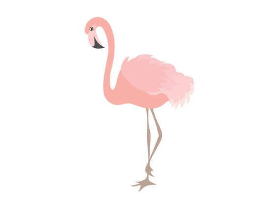 flamingo clipart digital