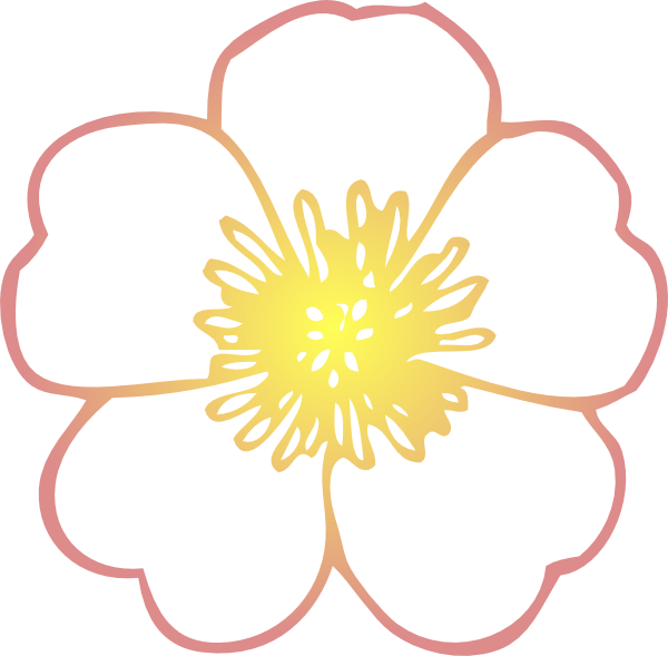 coral clipart flower
