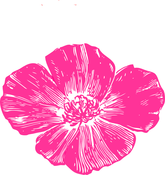 coral clipart flower