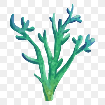 coral clipart green coral
