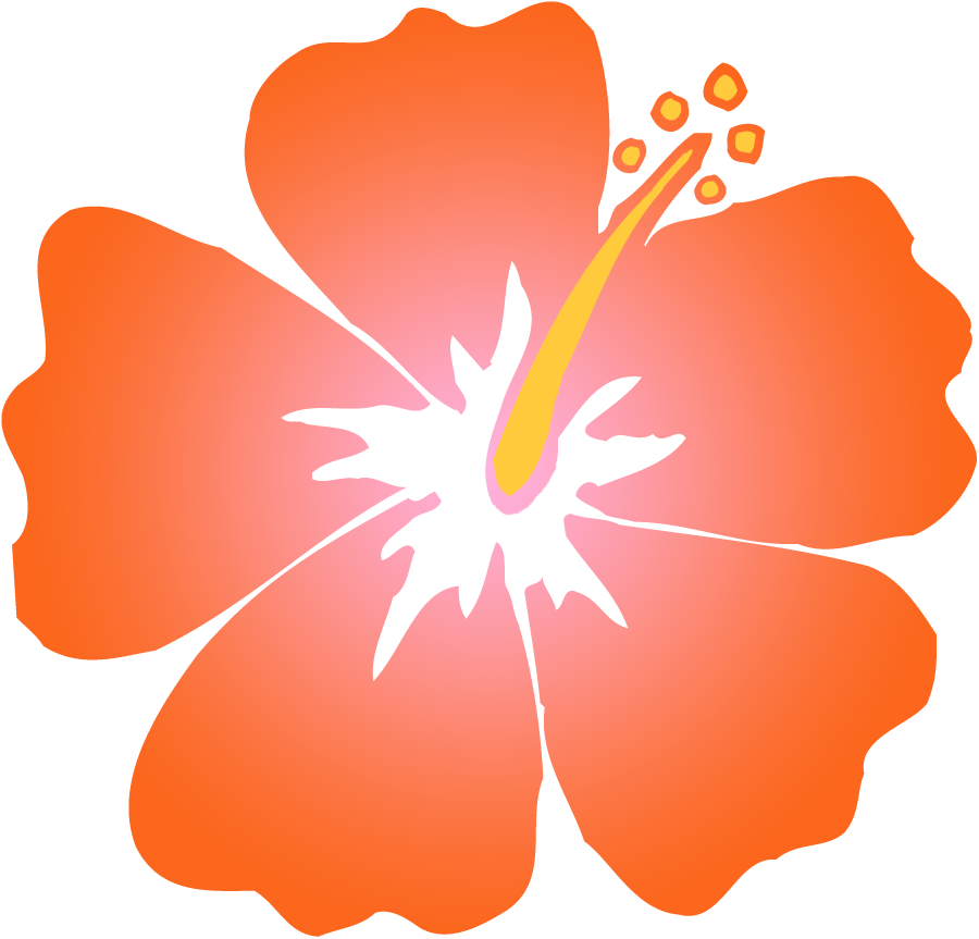  collection of orange. Hibiscus clipart simple