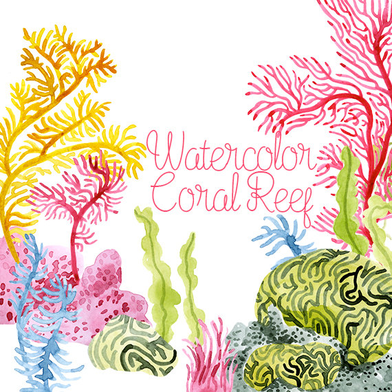 coral clipart illustration