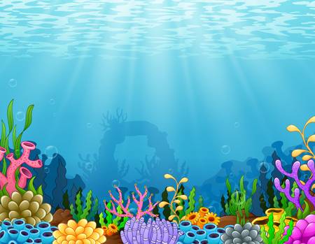 coral clipart ocean bed