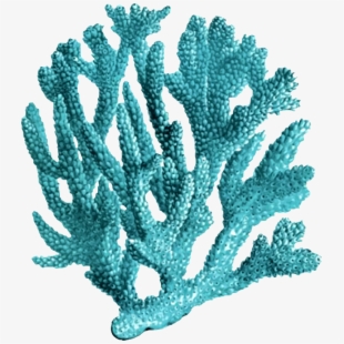 Free cliparts silhouettes cartoons. Coral clipart ocean plant life