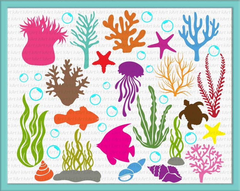 coral clipart ocean plant life