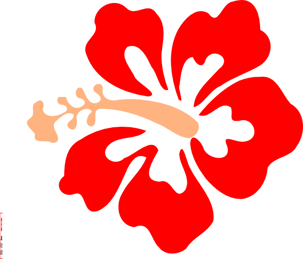 coral clipart outline
