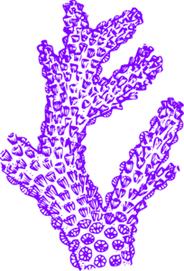 Clip art at clker. Coral clipart purple coral
