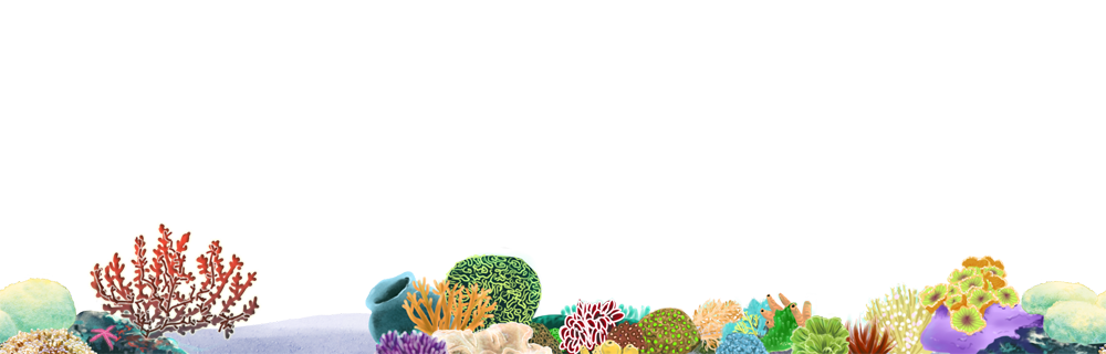 Seamless reef png stock. Coral clipart realistic